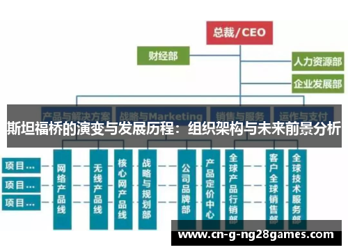 斯坦福桥的演变与发展历程：组织架构与未来前景分析